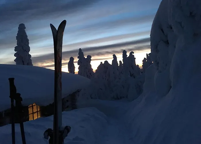 Tohtaja B Apartamento